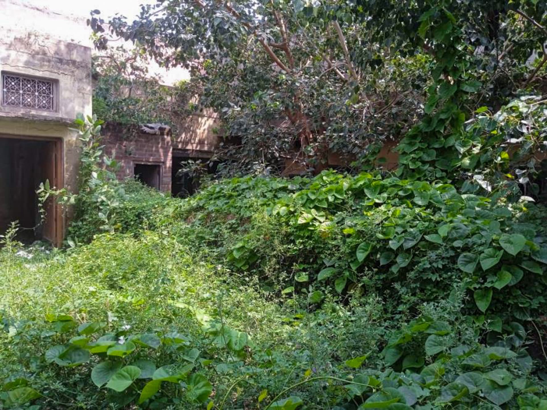 Property Photos 3