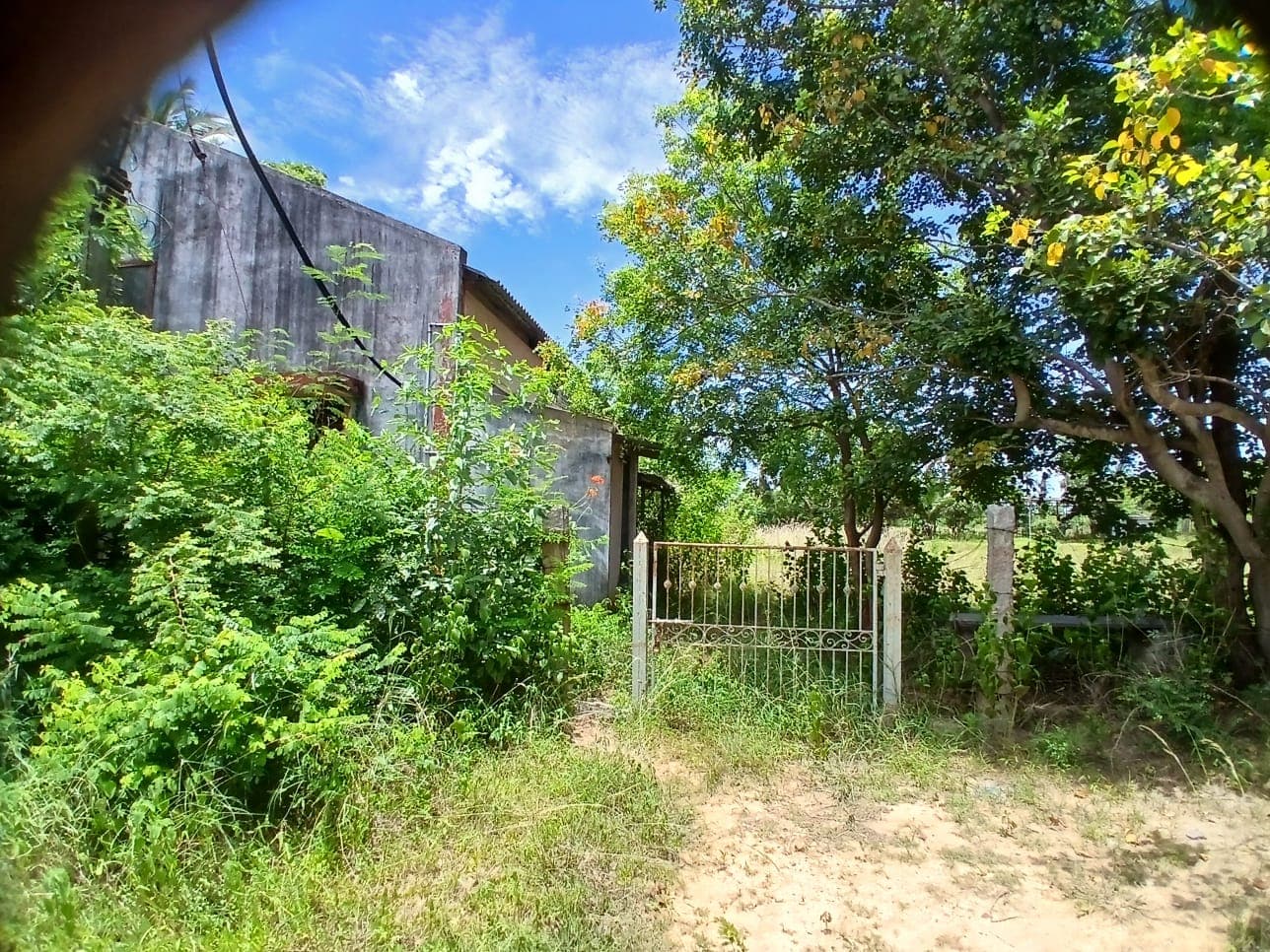 Property Photos 3