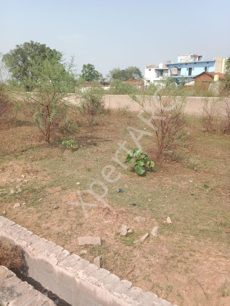 Property Photos 6