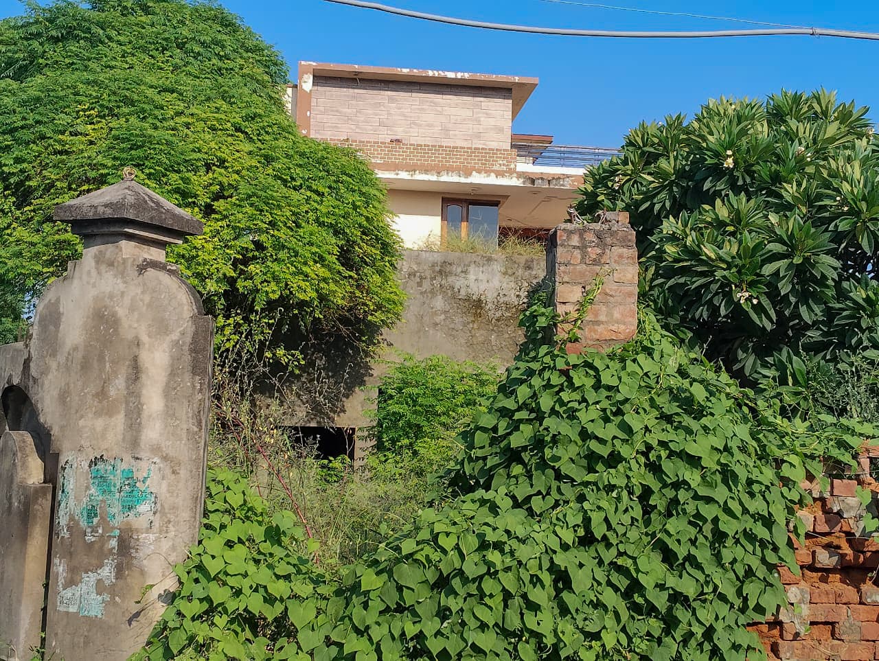 Property Photos 9
