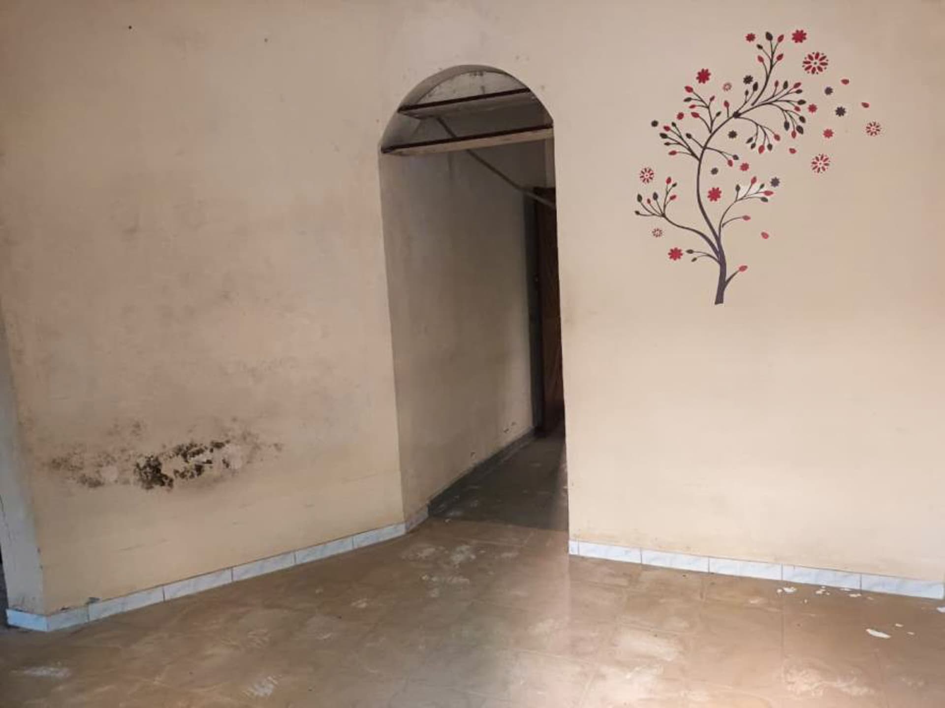 Property Photos 9