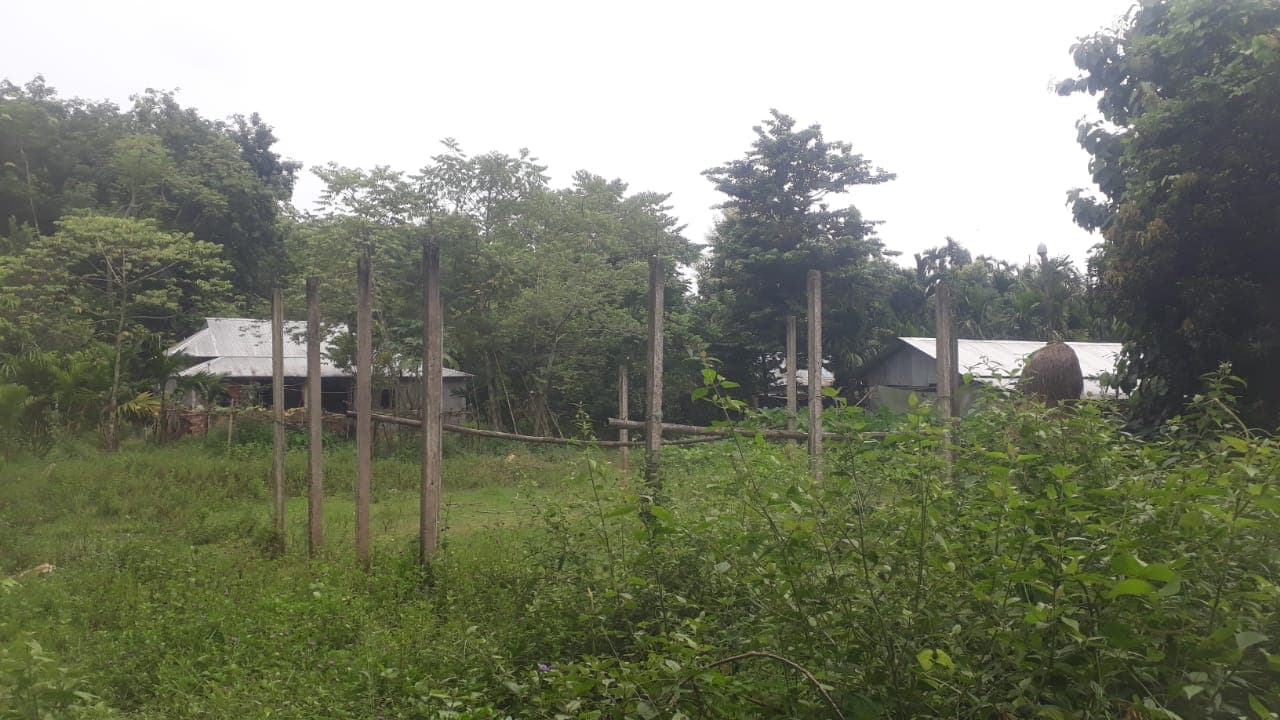 Property Photos 2