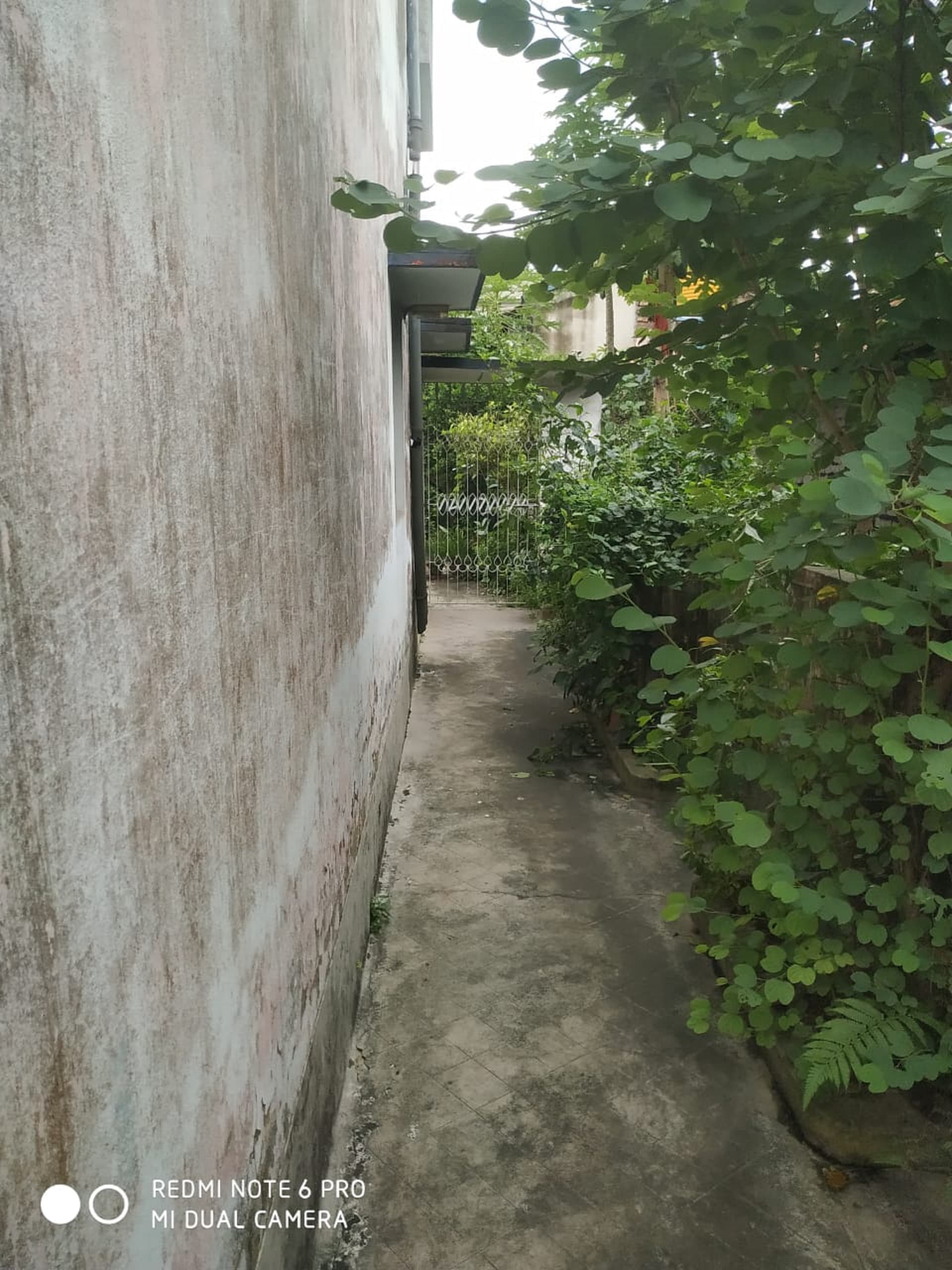 Property Photos 2