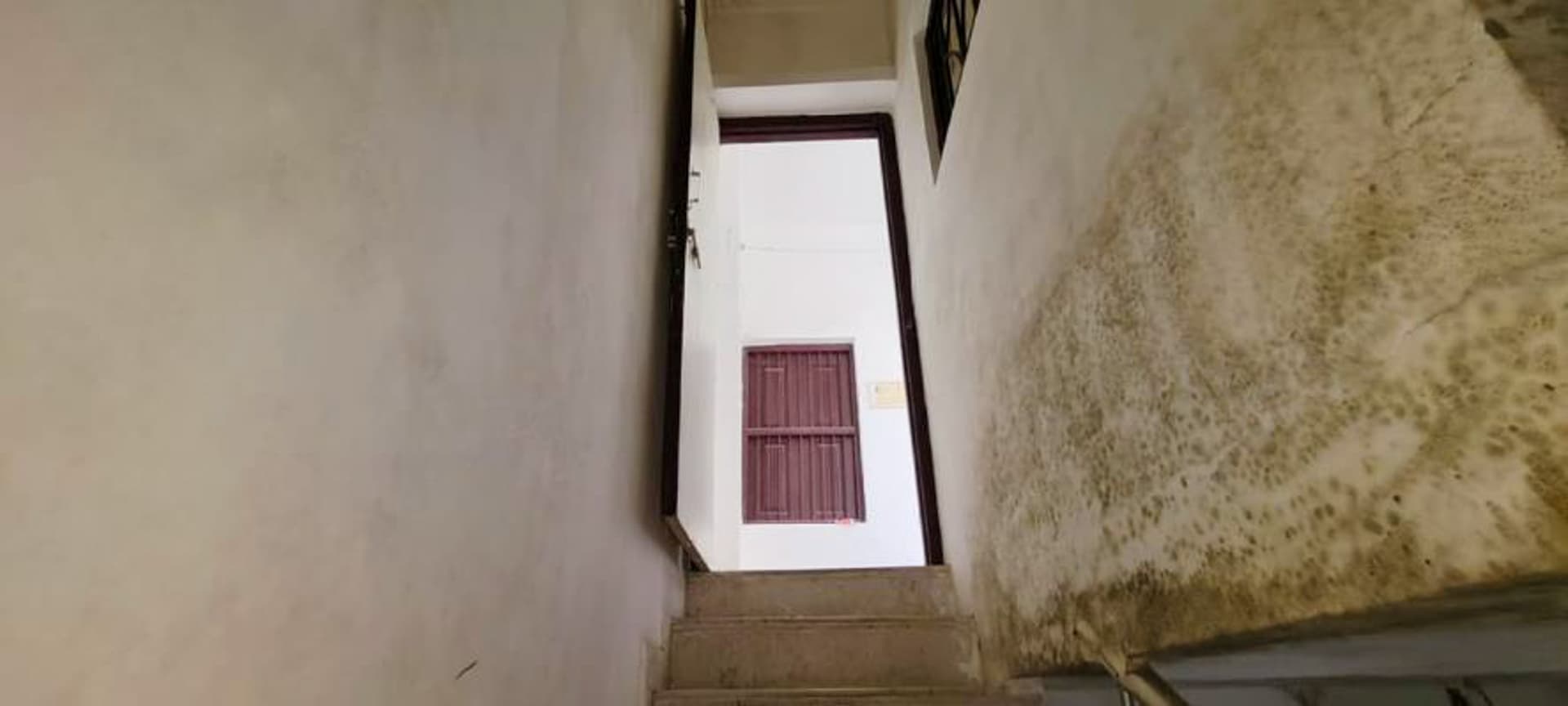 Property Photos 50