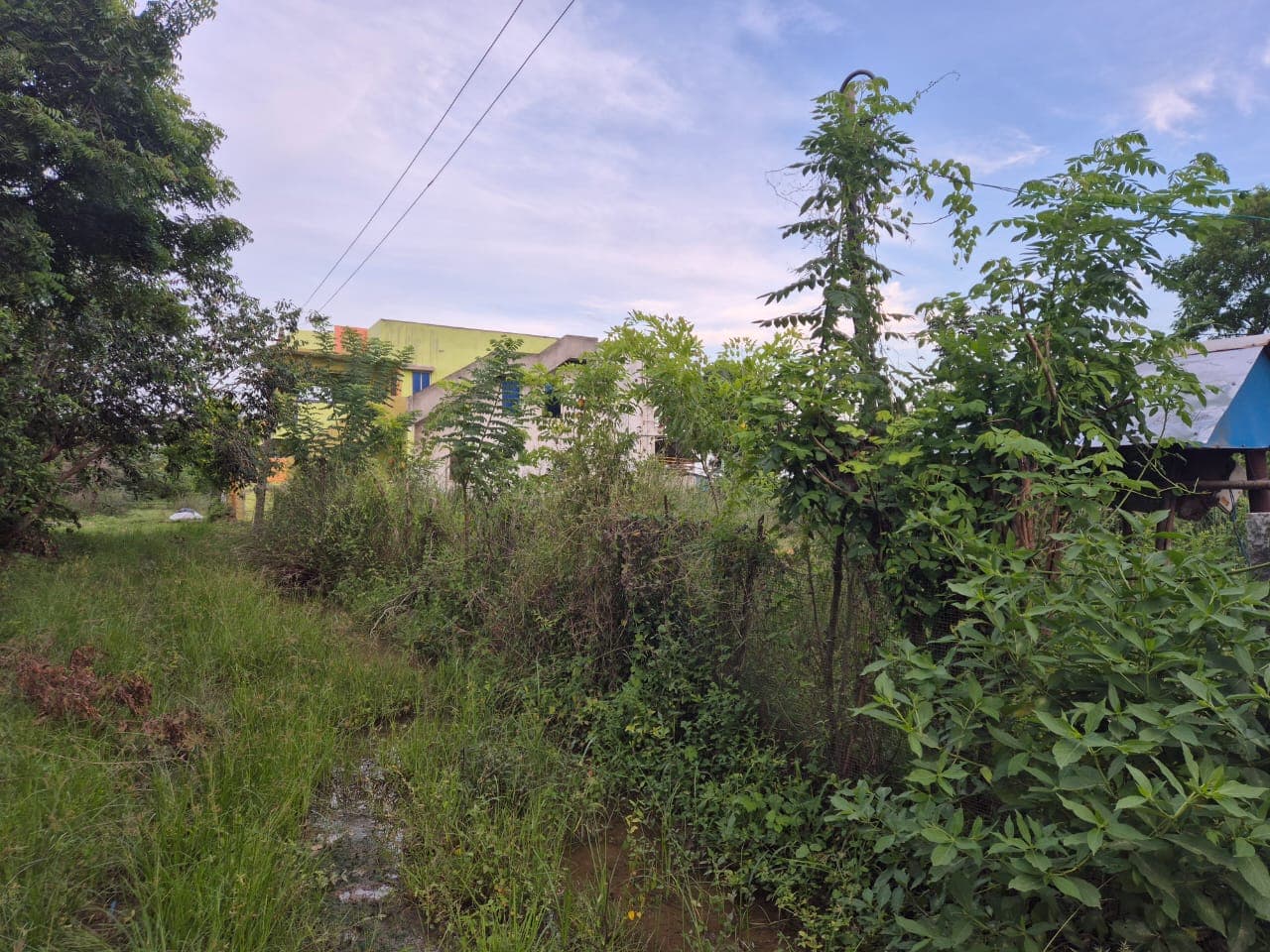 Property Photos 2