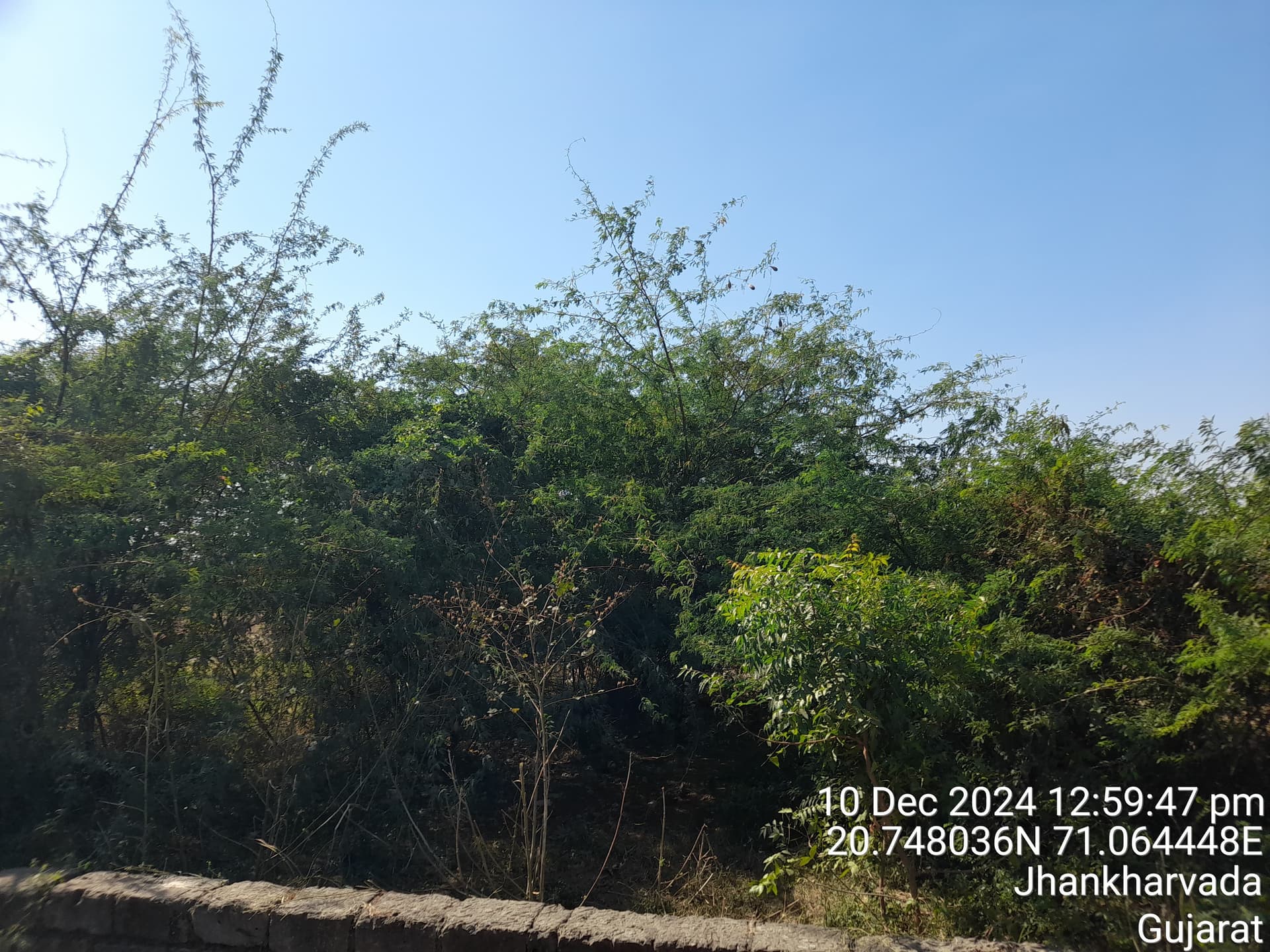 Property Photos 2