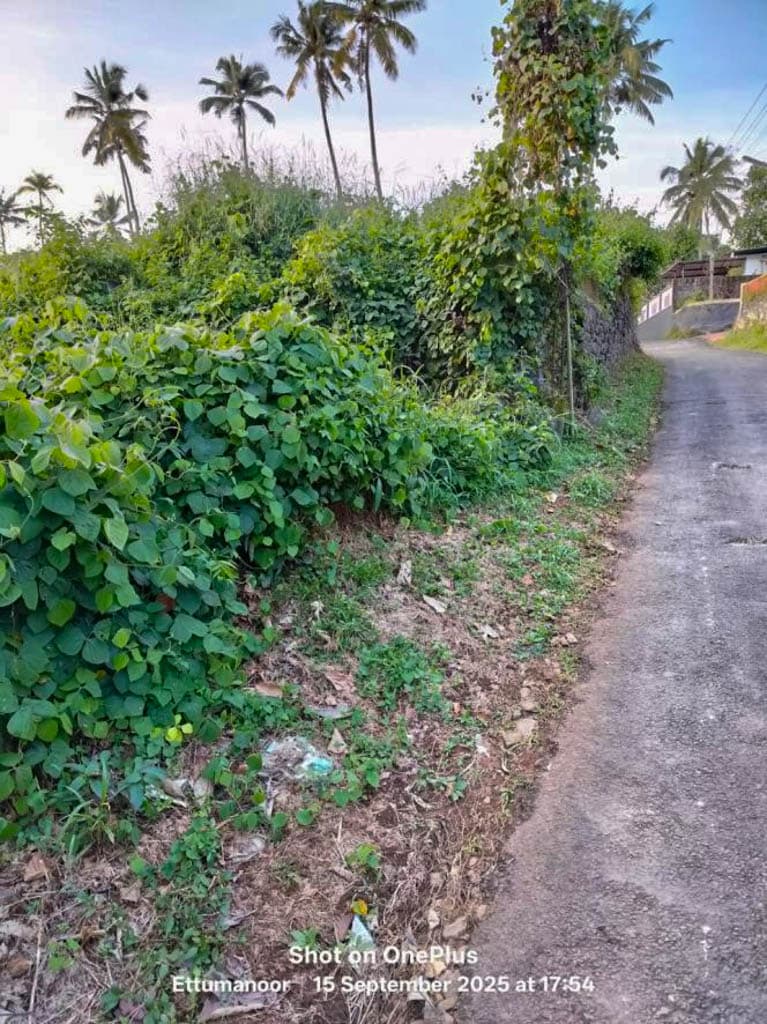 Property Photos 6
