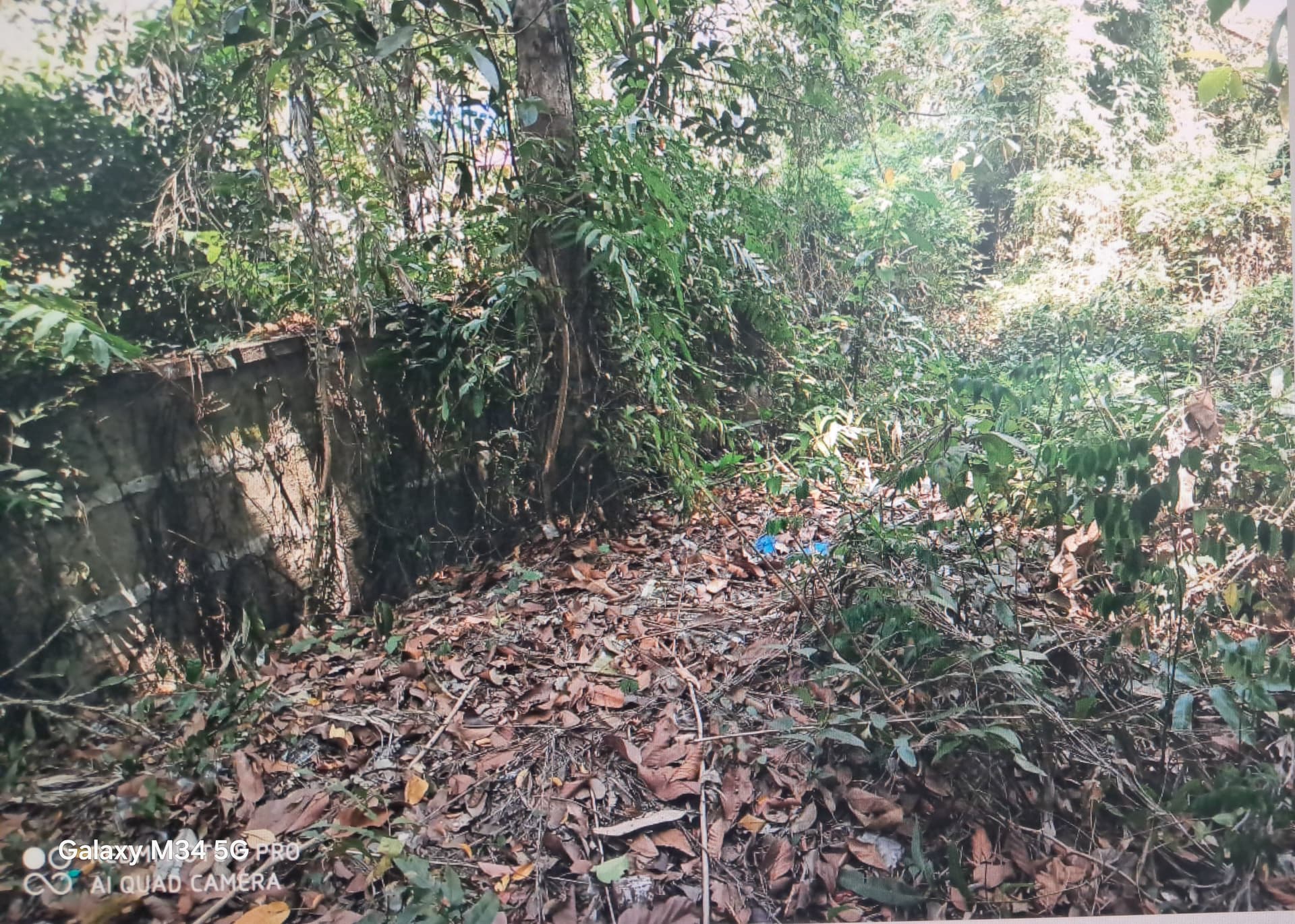 Property Photos 8