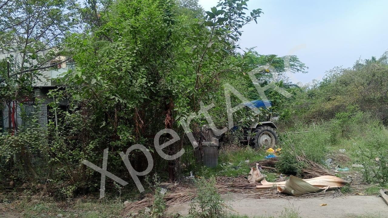 Property Photos 5