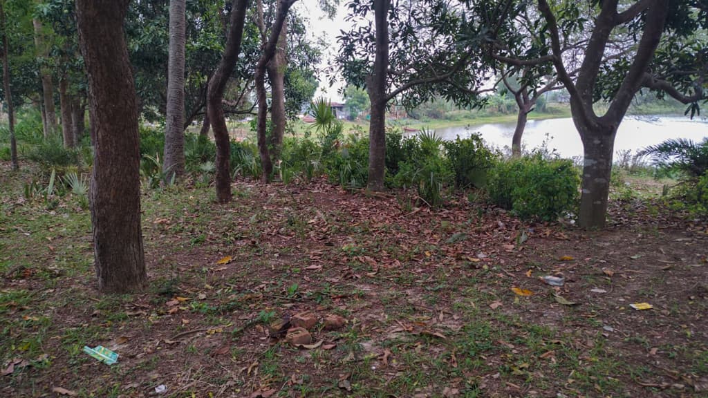 Property Photos 4