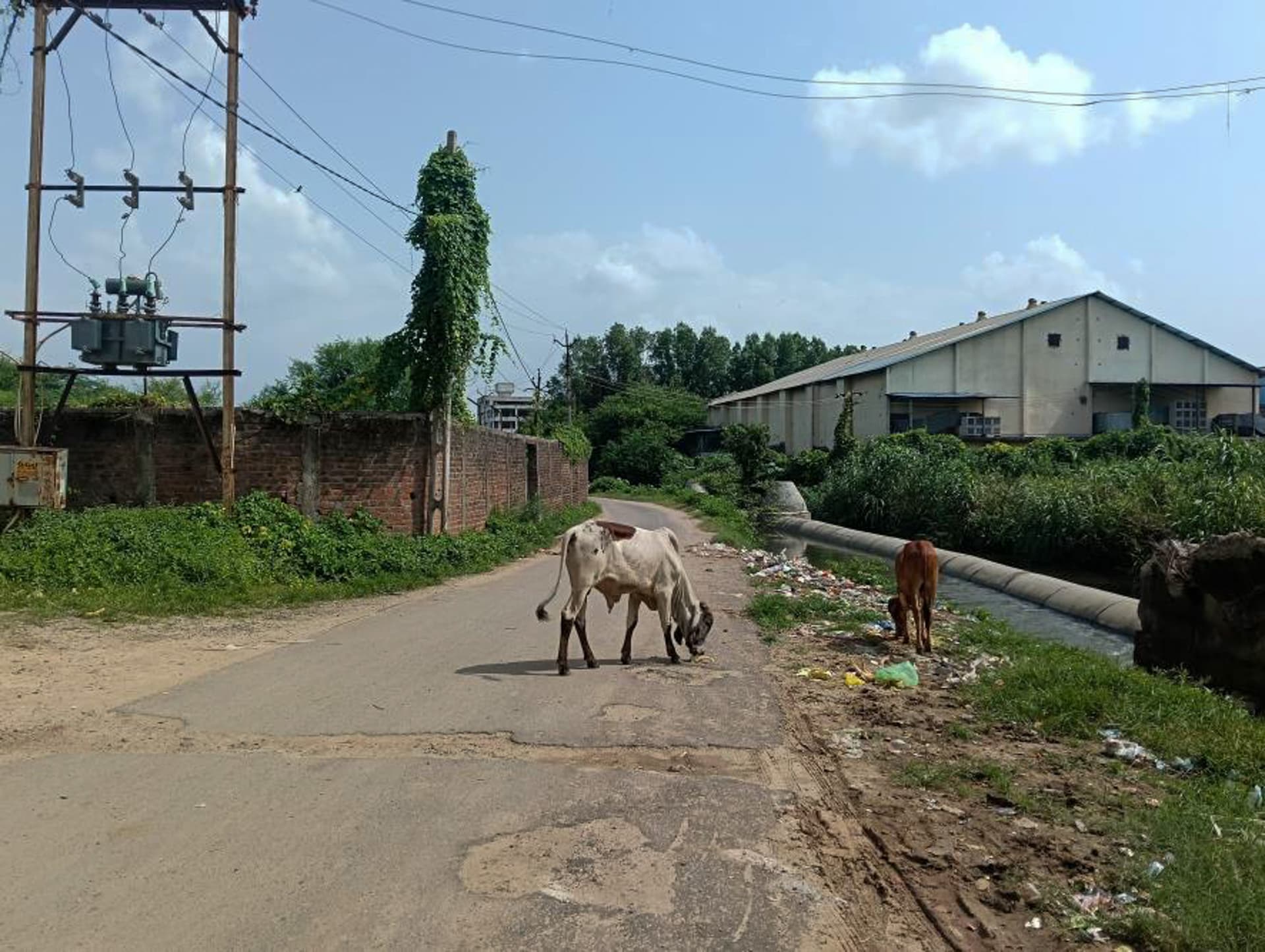 Property Photos 5