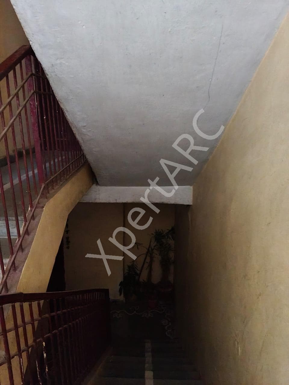 Property Photos 5