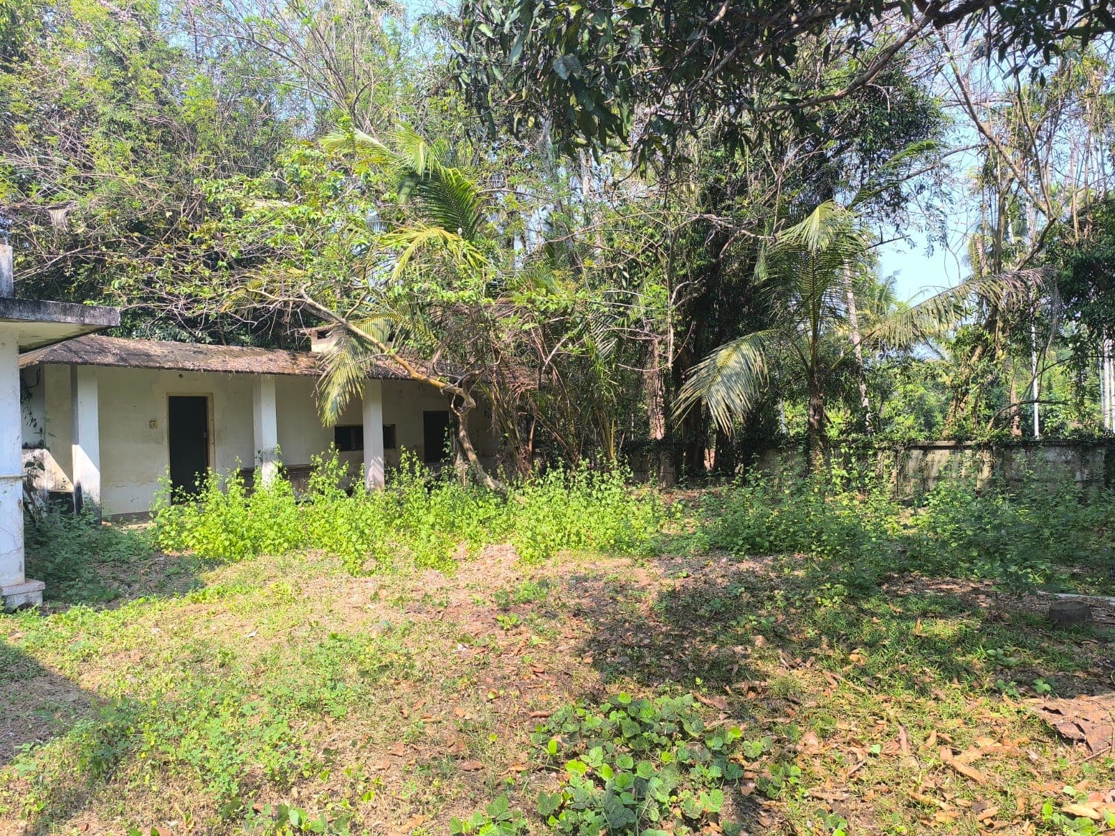 Property Photos 2