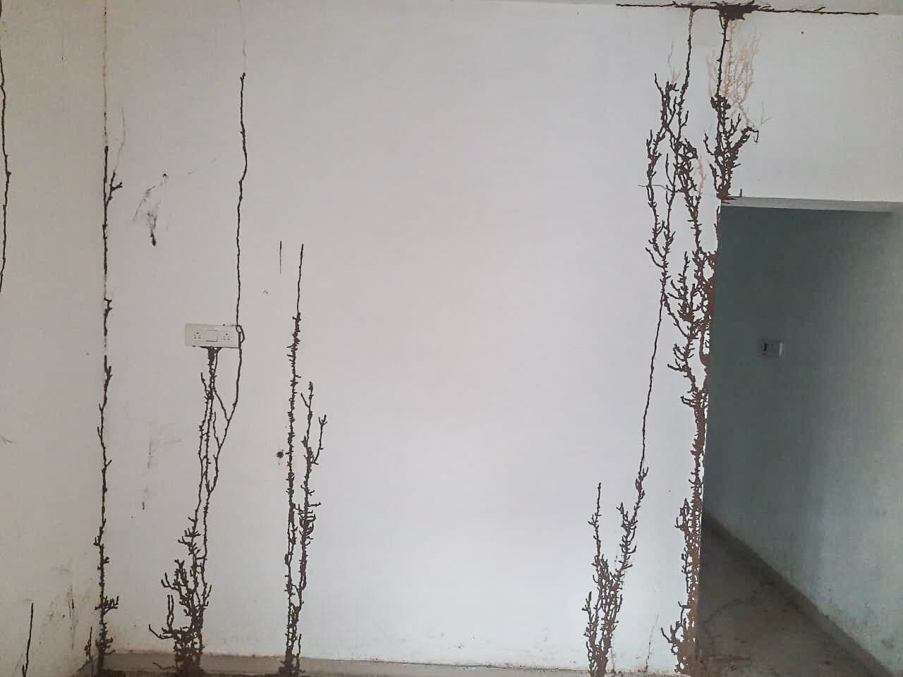 Property Photos 4