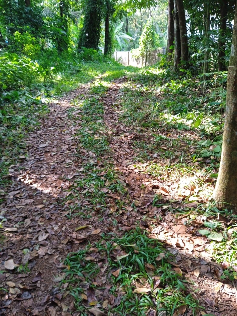 Property Photos 4