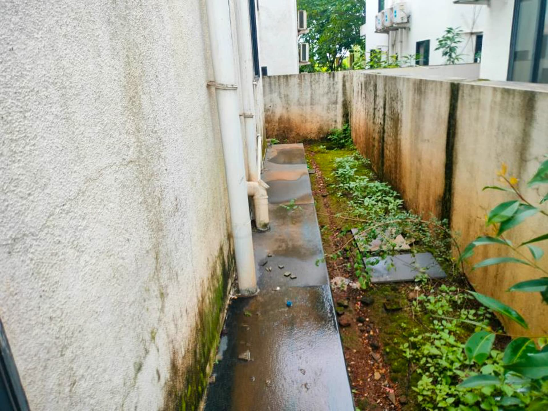 Property Photos 56