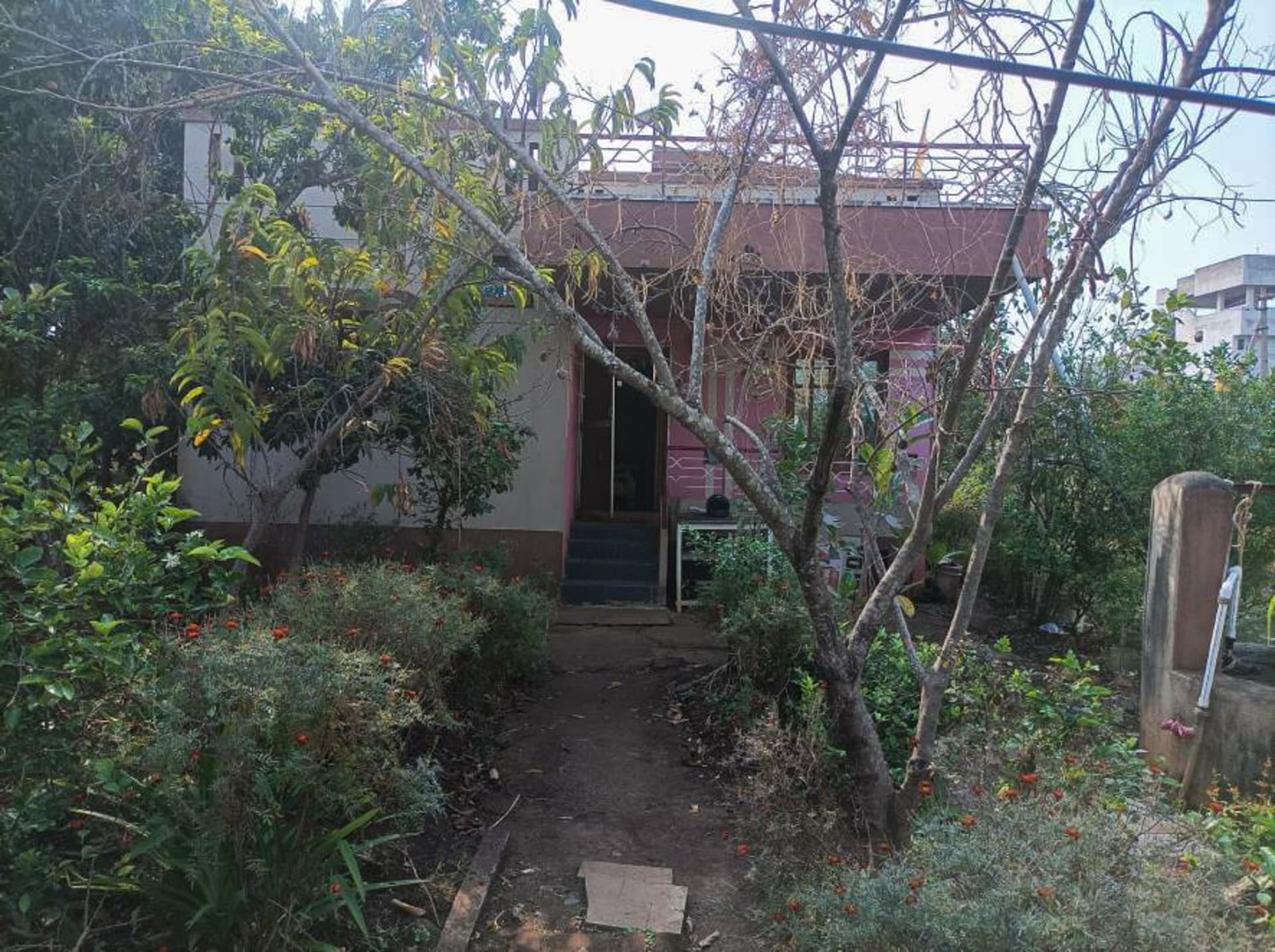 Property Photos 24