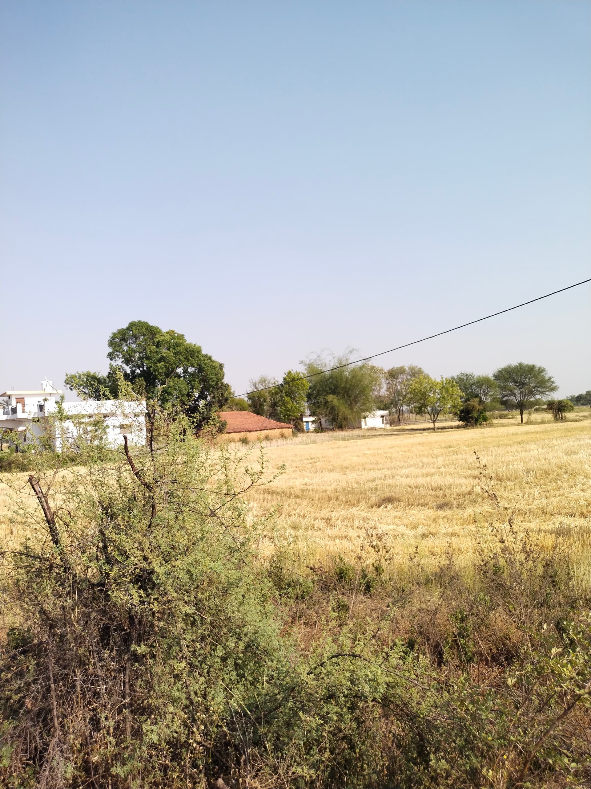 Property Photos 2