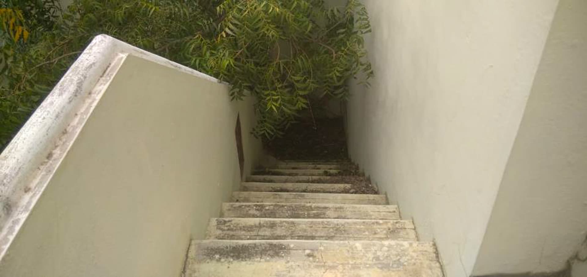 Property Photos 17