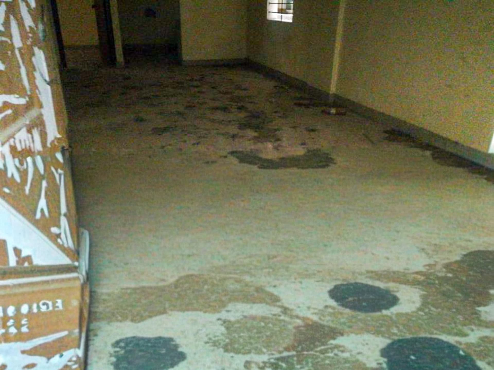 Property Photos 6