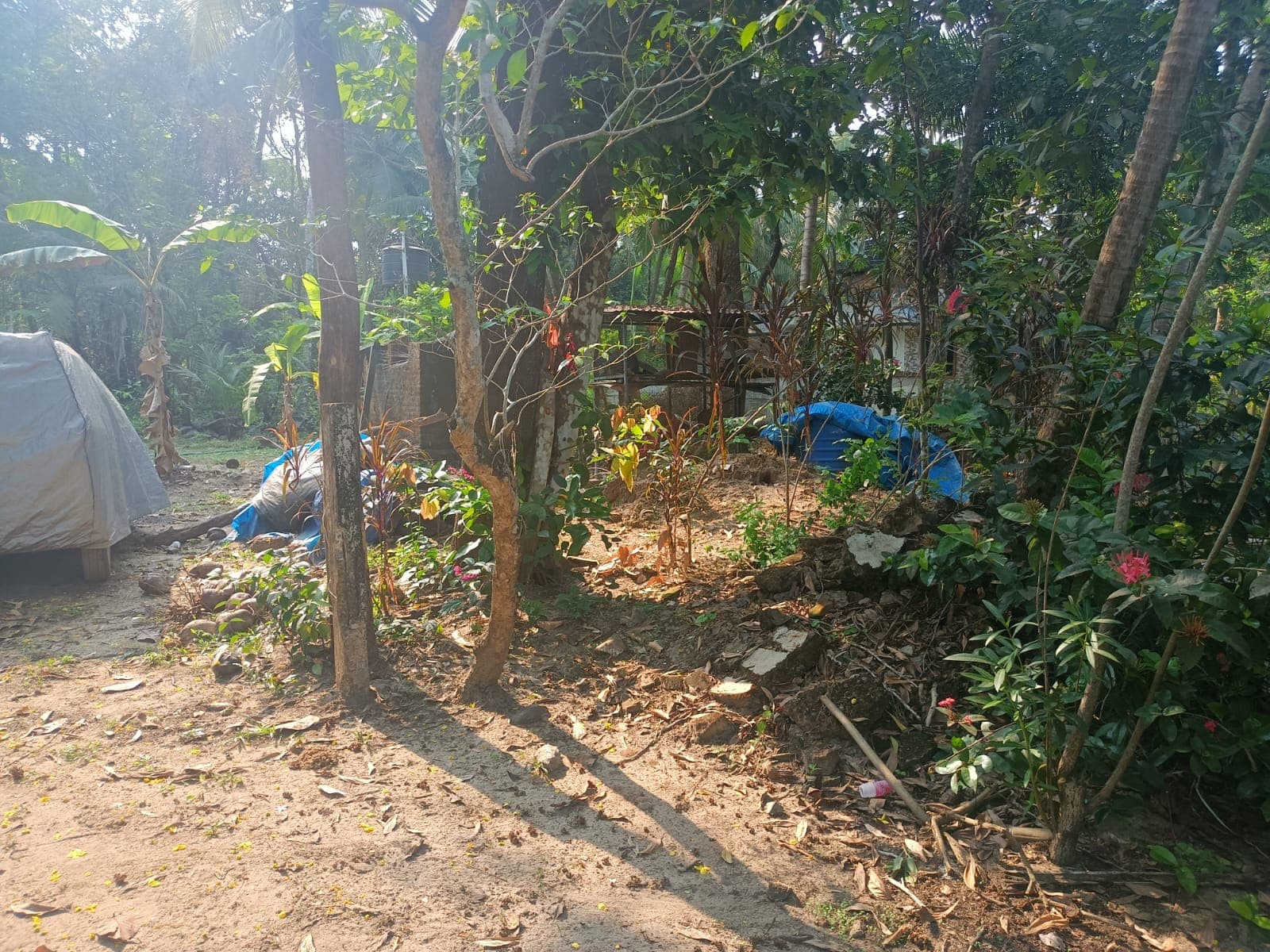 Property Photos 2