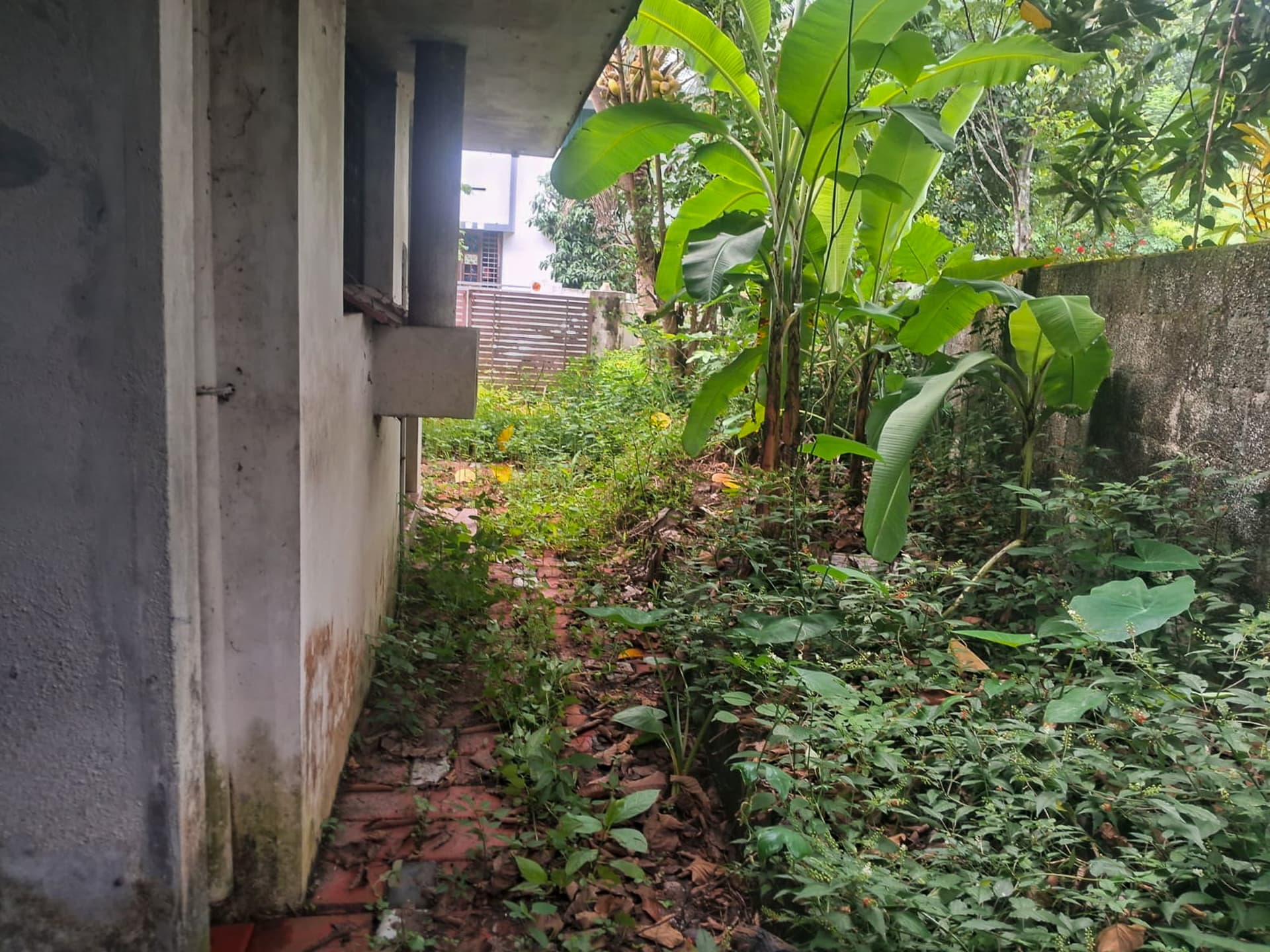 Property Photos 5