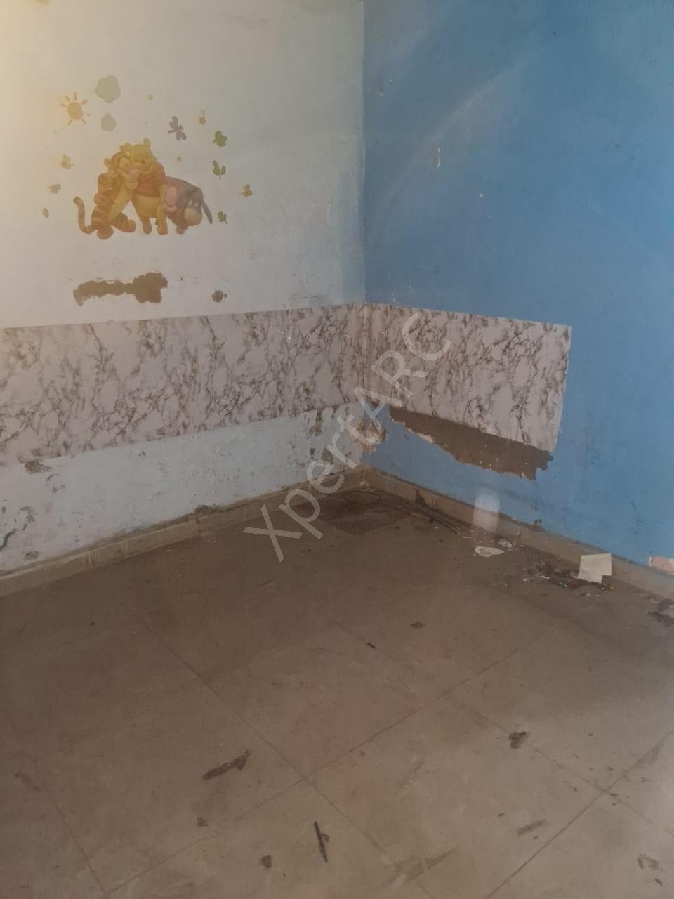 Property Photos 7