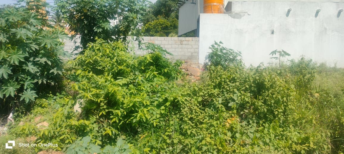 Property Photos 2