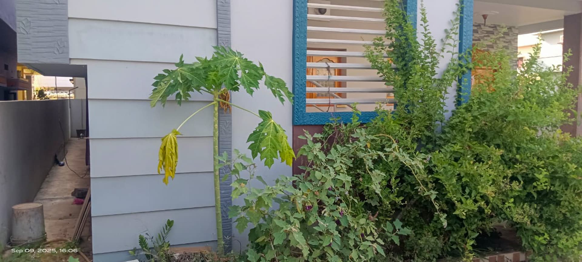 Property Photos 7