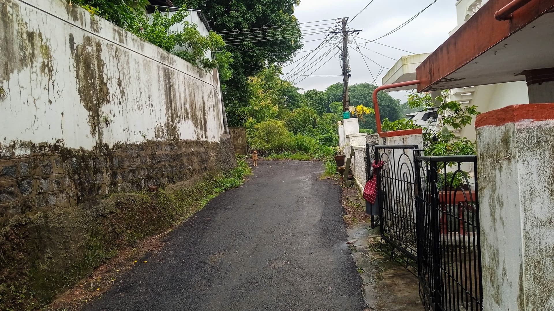 Property Photos 2