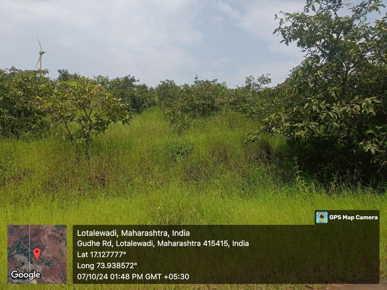 Property Photos 5