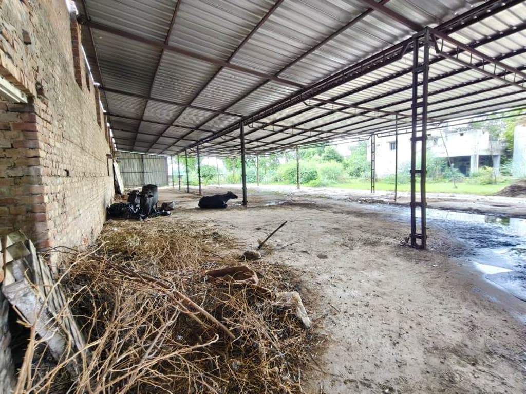 Property Photos 9