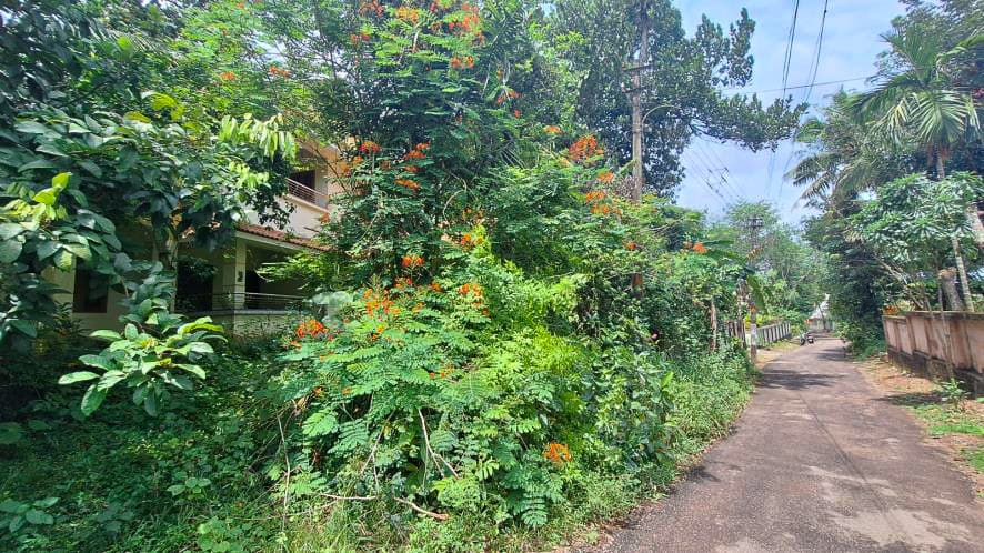 Property Photos 8
