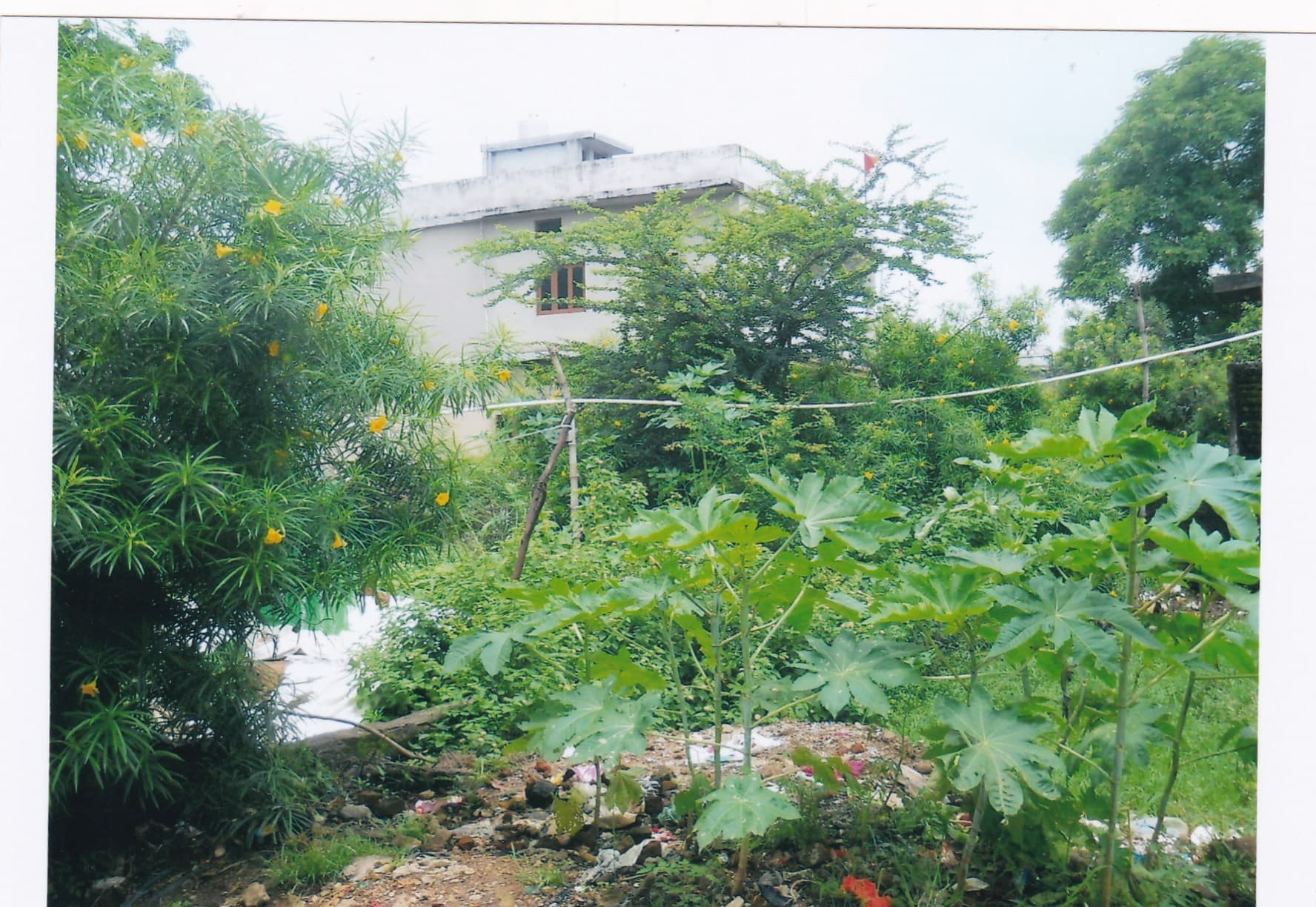 Property Photos 2