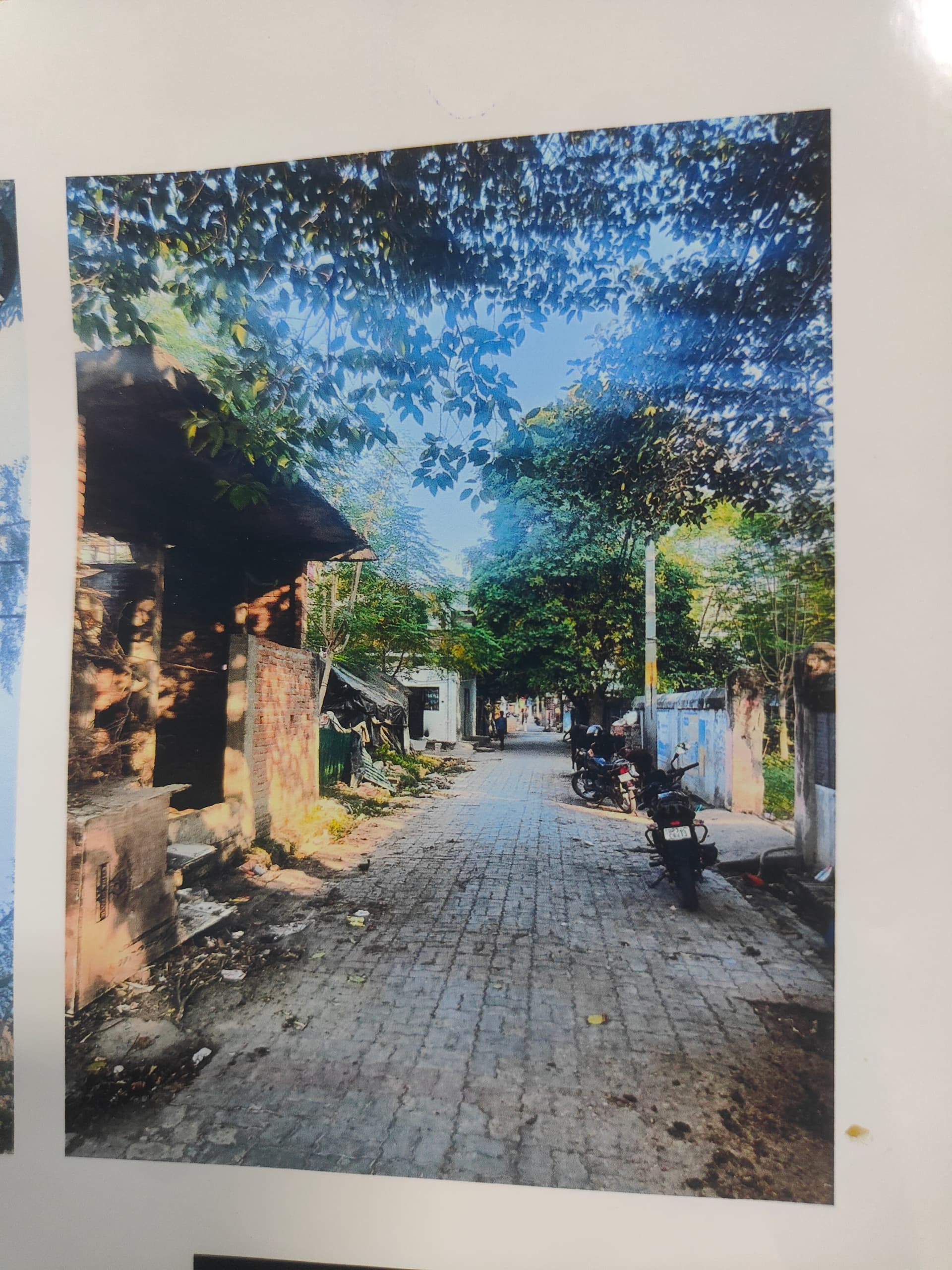 Property Photos 2