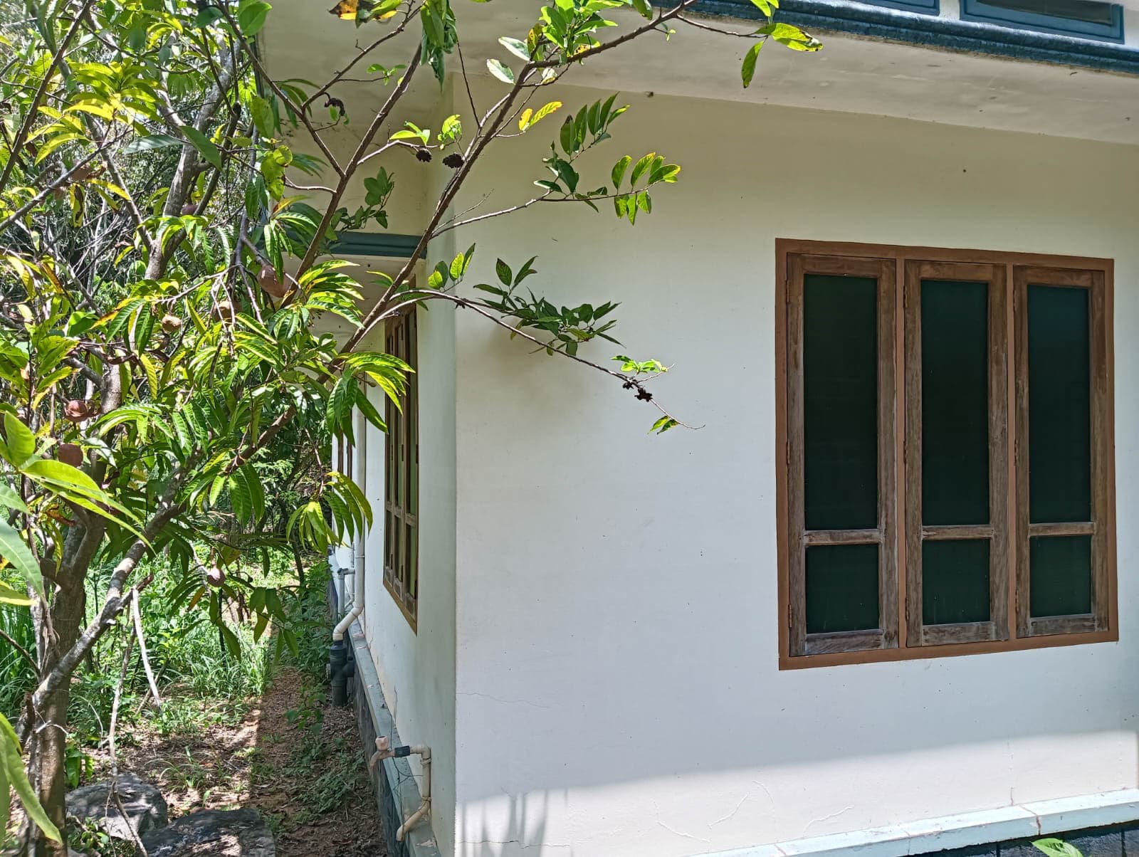 Property Photos 9