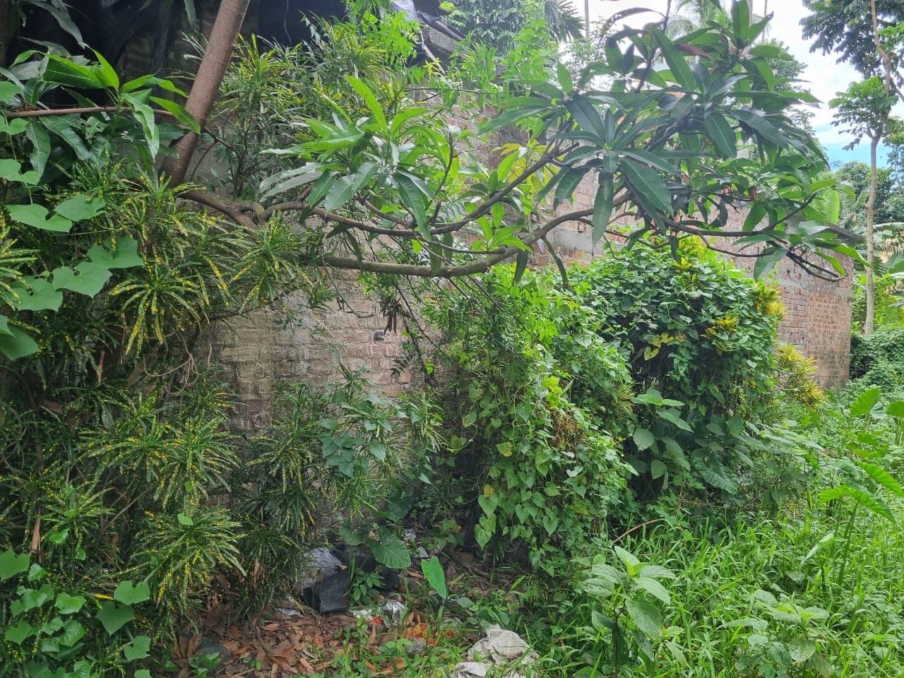 Property Photos 2