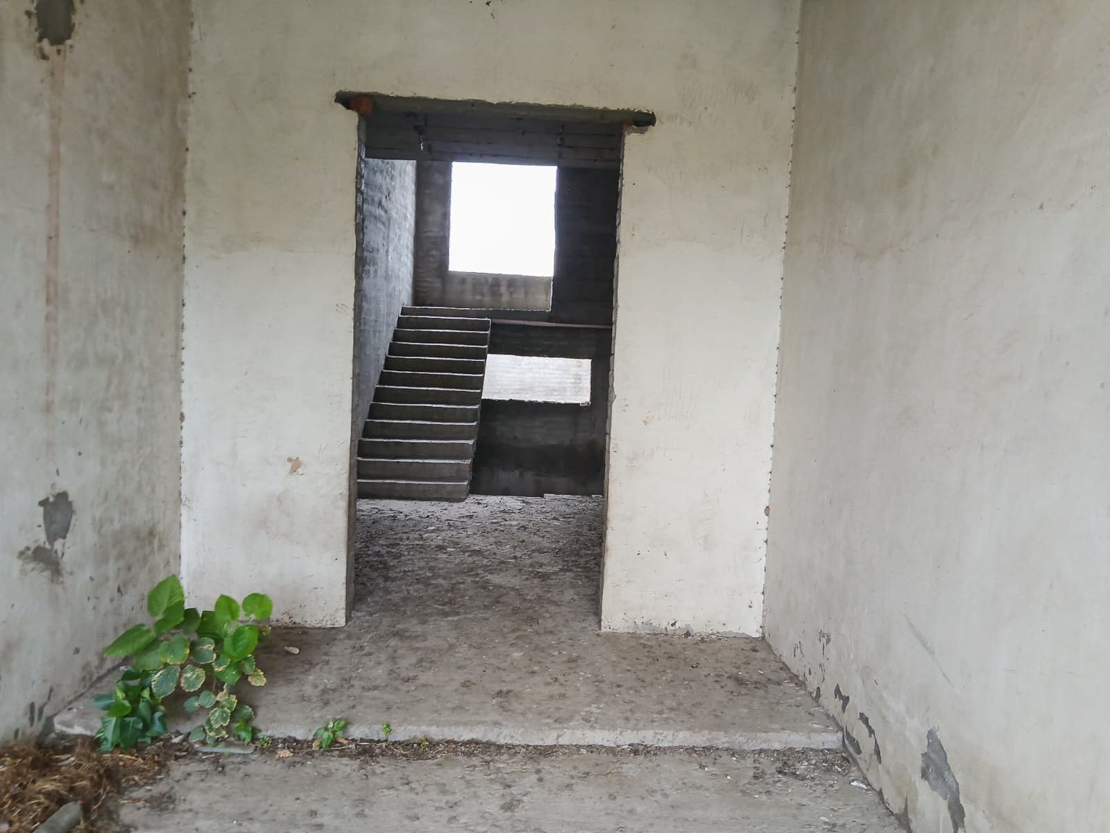 Property Photos 17