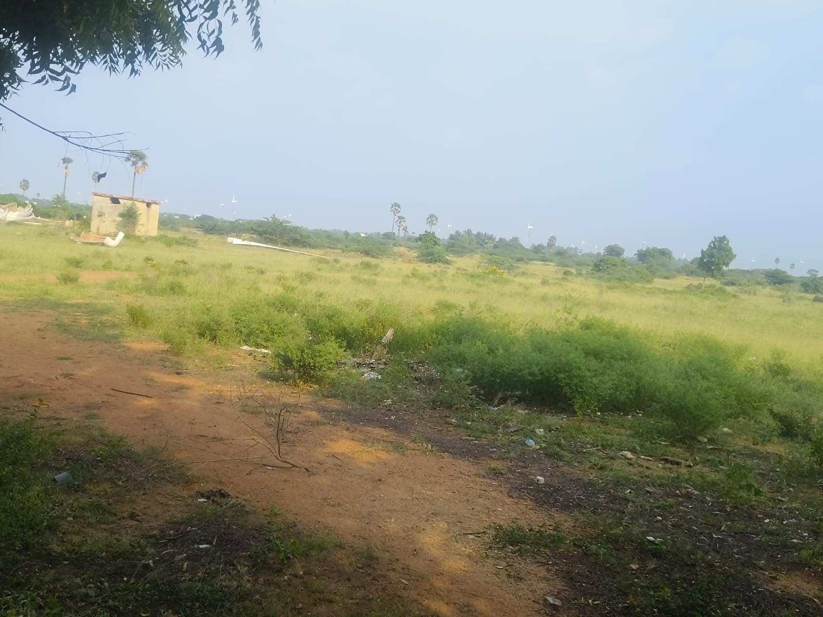 Property Photos 18