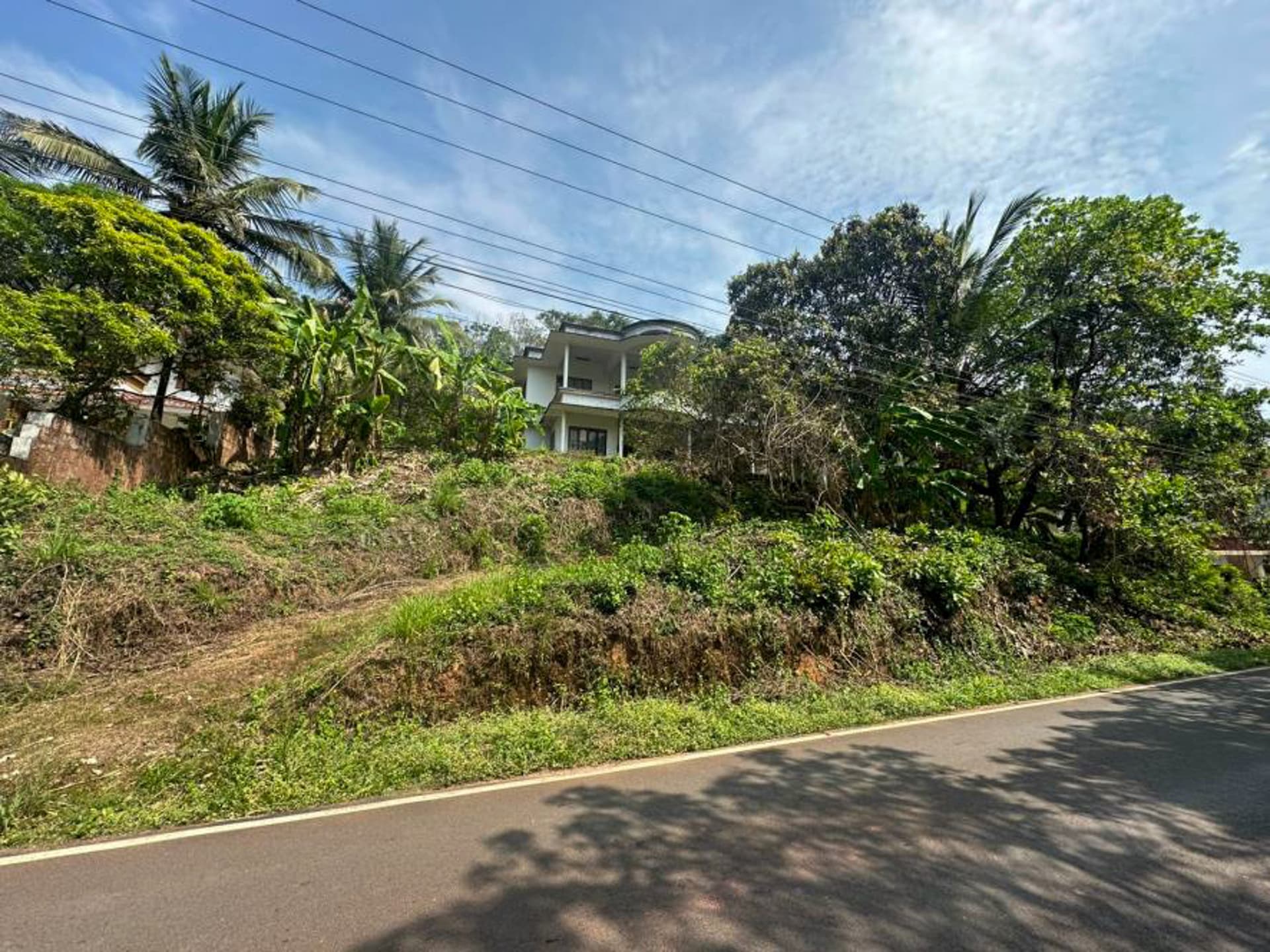 Property Photos 6