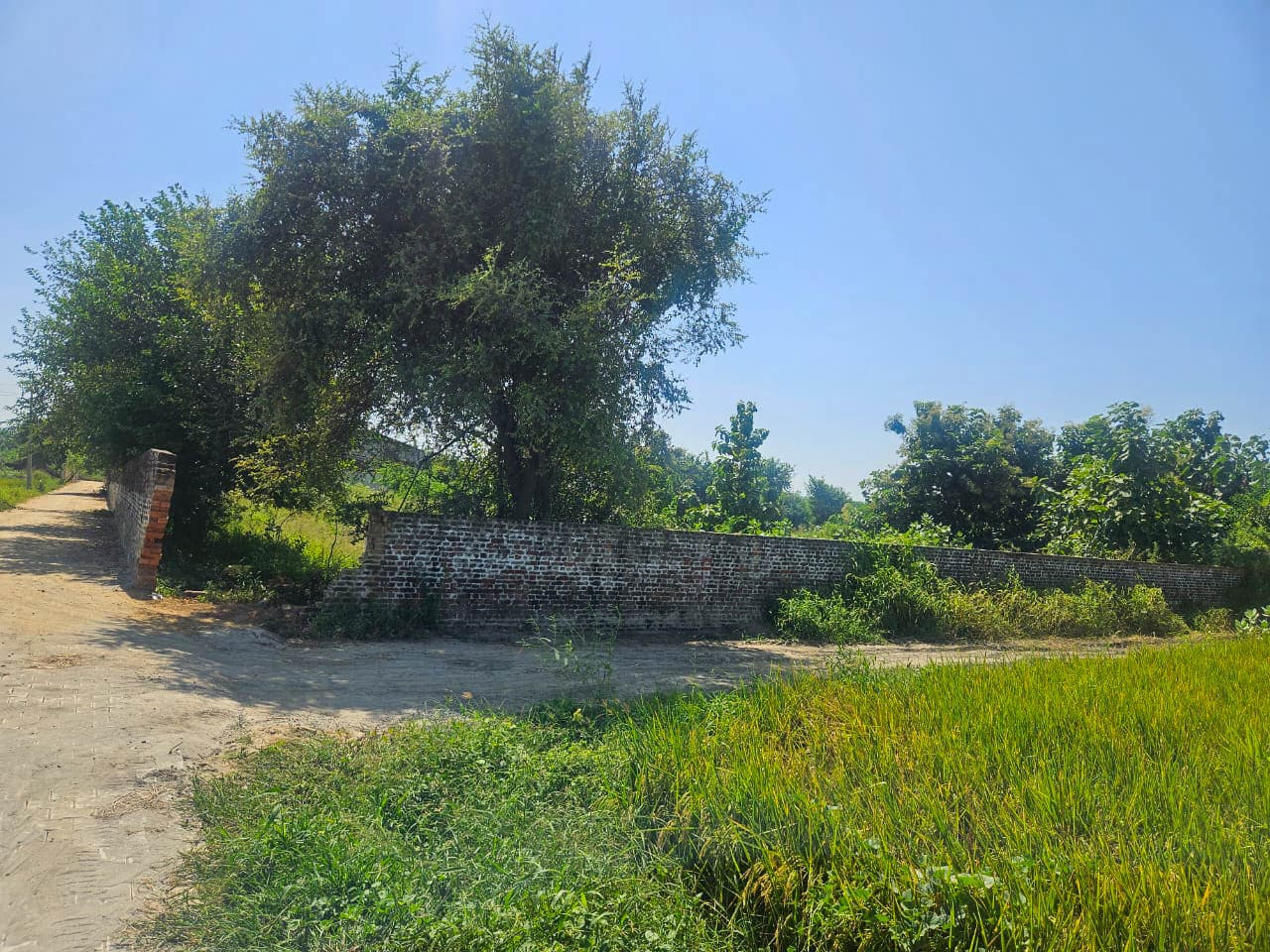 Property Photos 6