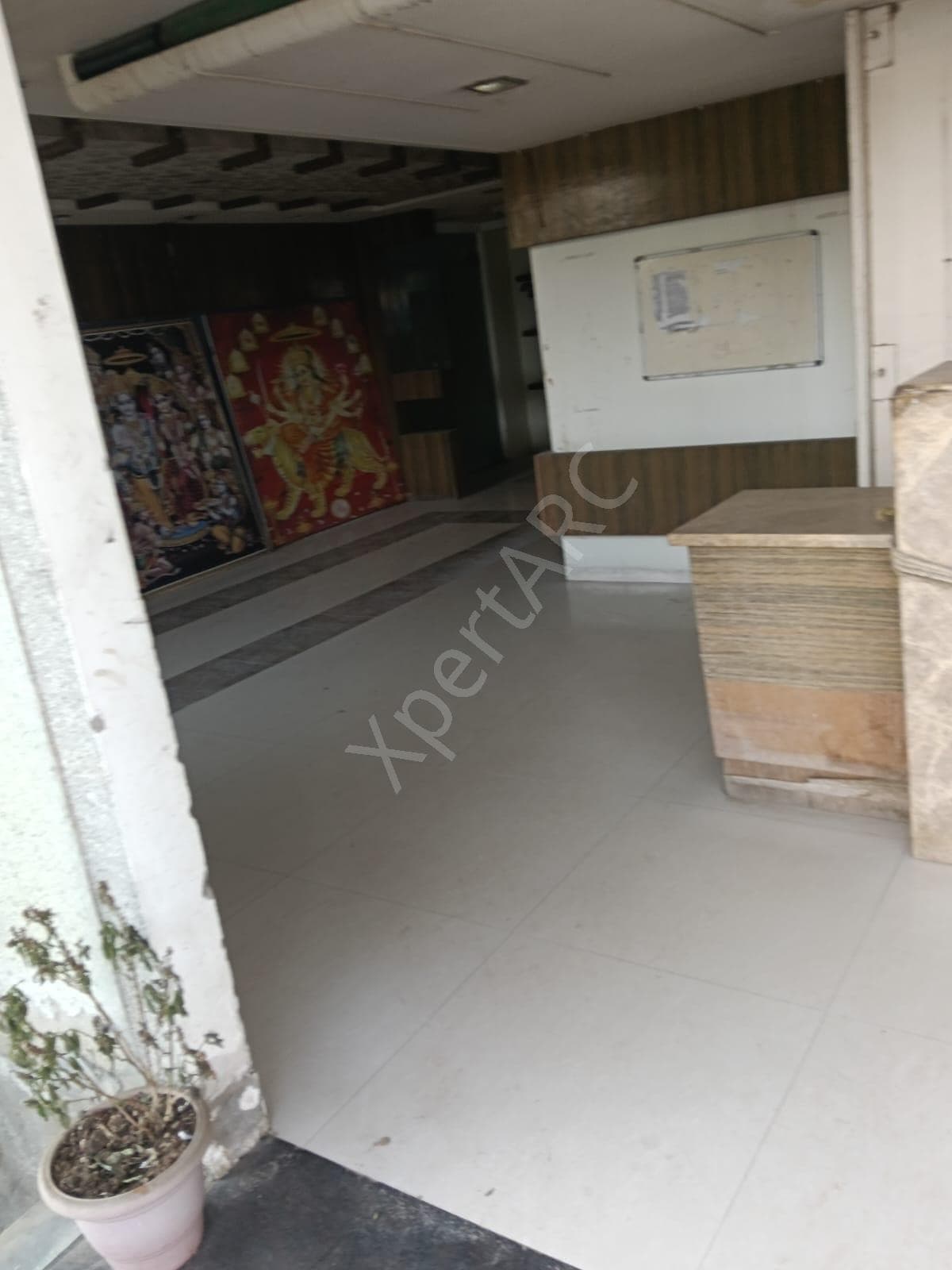 Property Photos 5