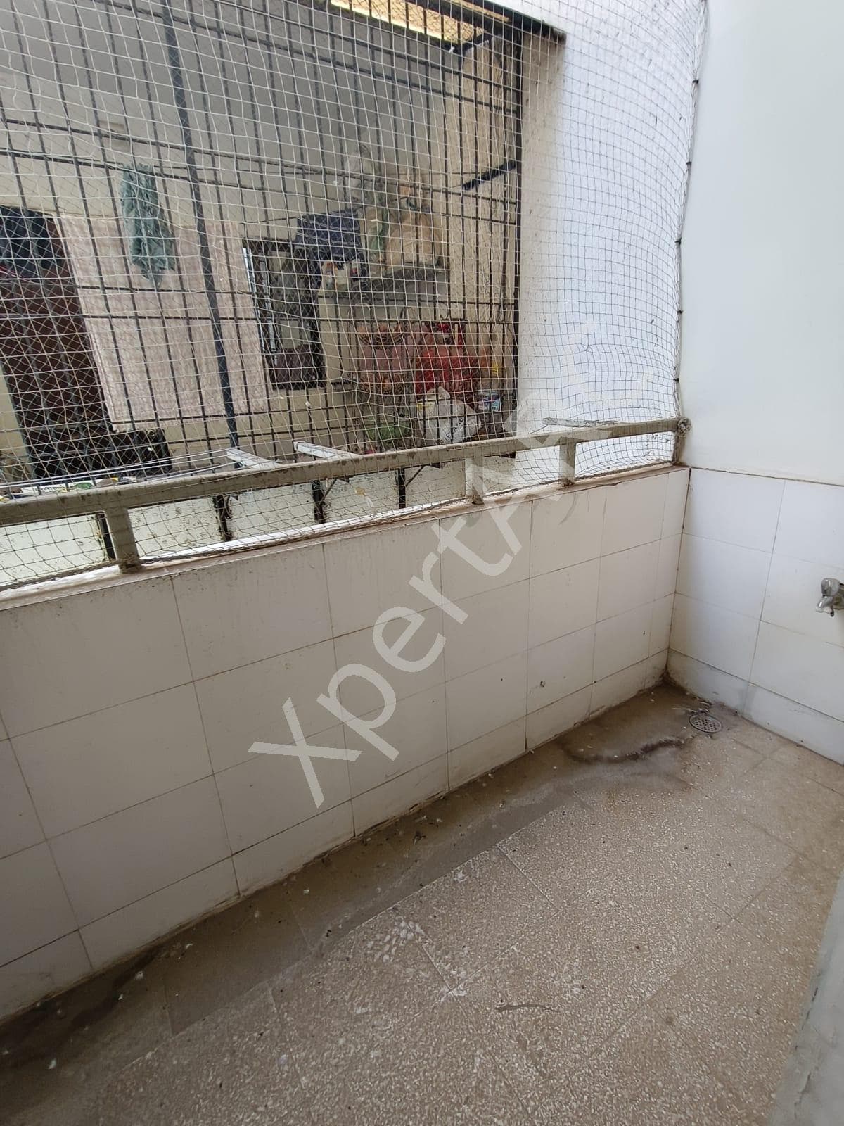 Property Photos 17