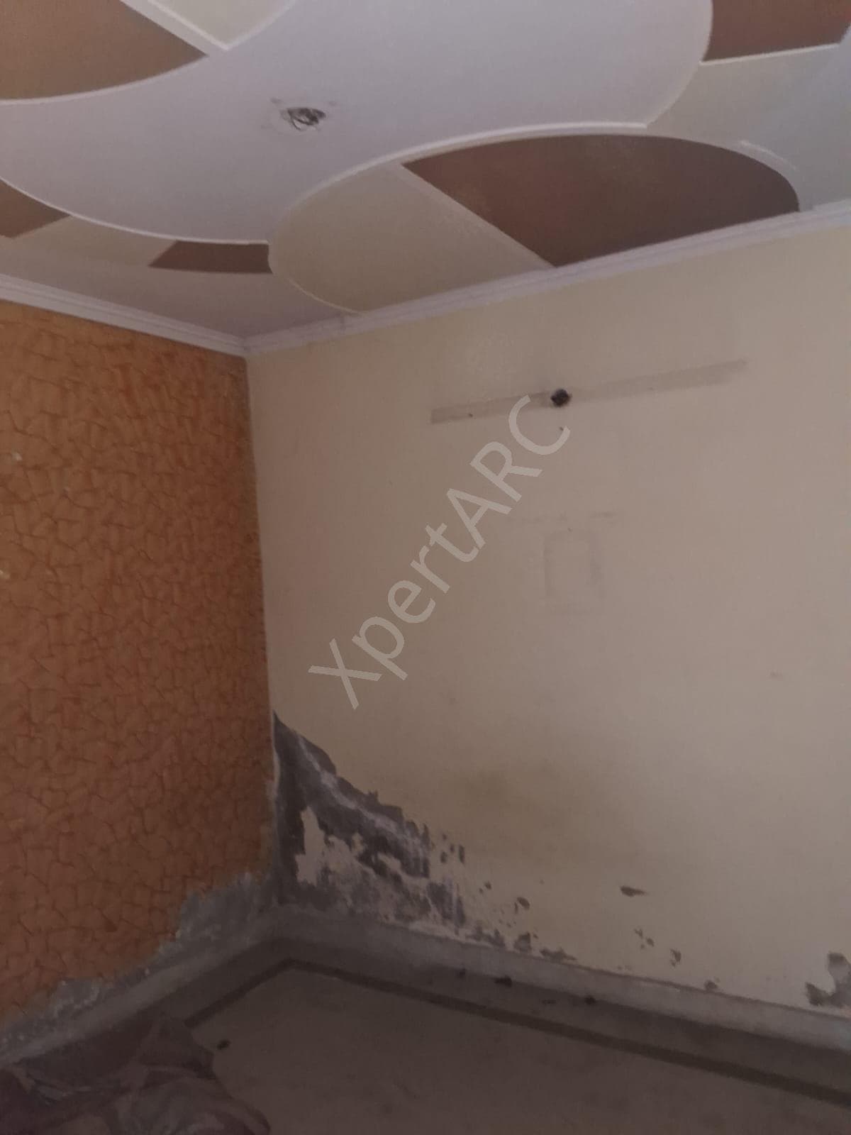 Property Photos 3