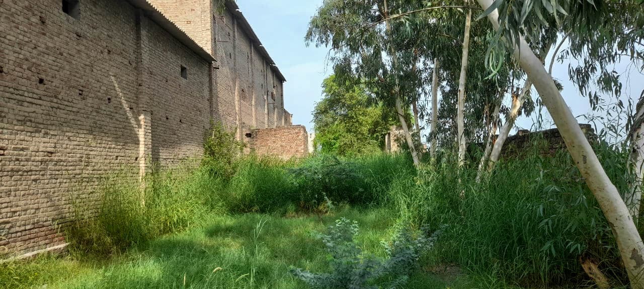 Property Photos 2