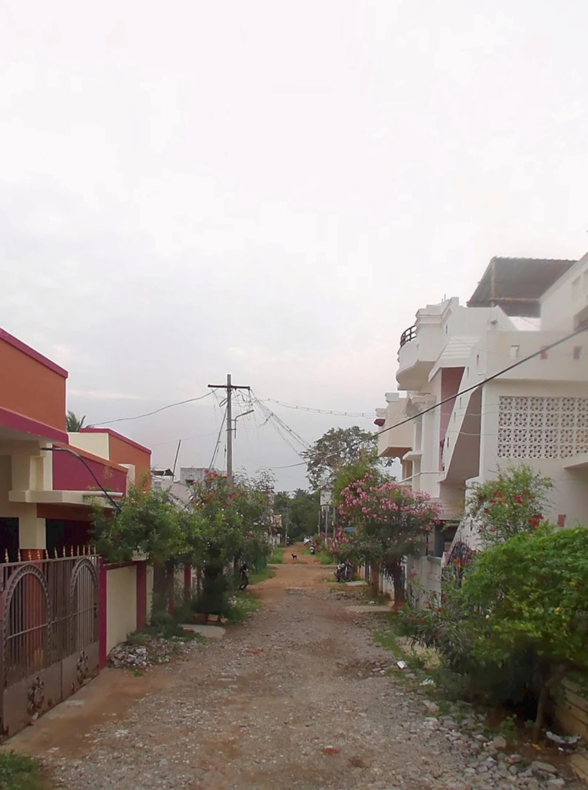 Property Photos 4