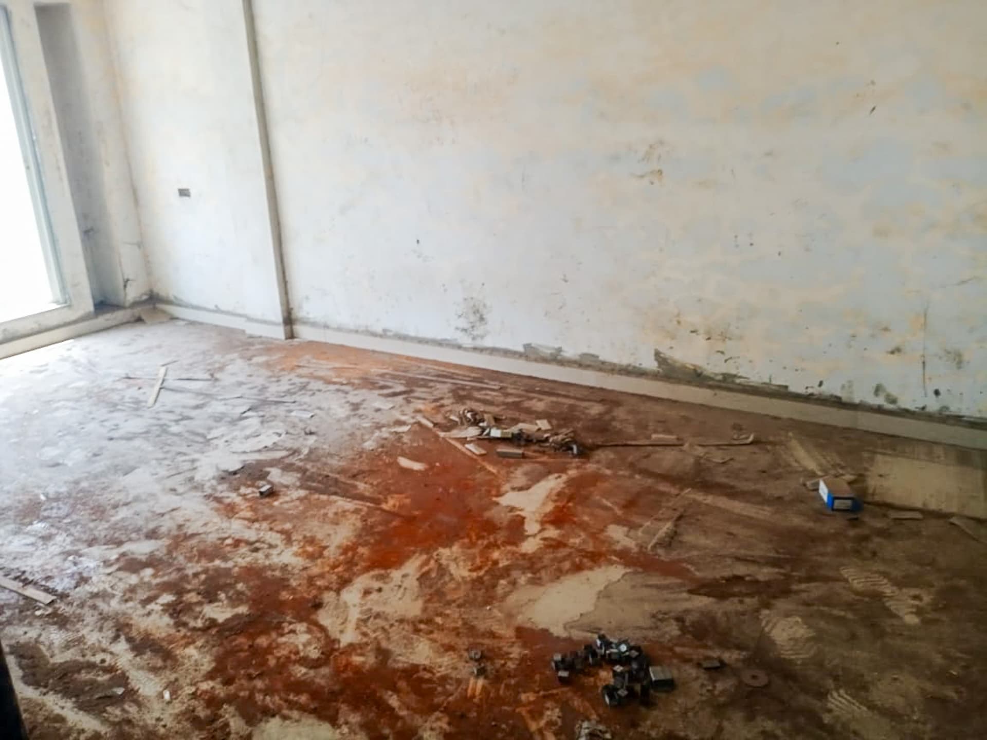 Property Photos 2