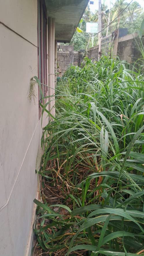 Property Photos 19