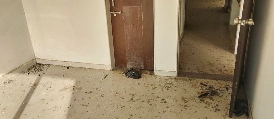 Property Photos 50