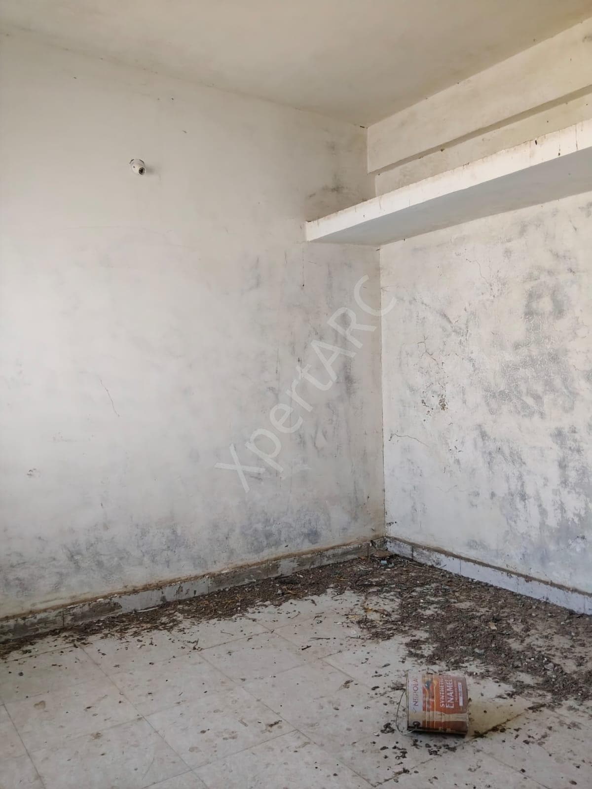 Property Photos 7